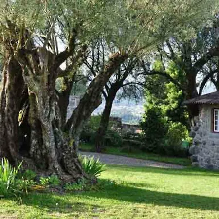 Encantadora Casa Com Piscina Nos Arredores De * Braga